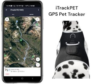 Mini Waterproof Real Time GPS GSM Pet Tracker Collar Mount for Dog Size:M